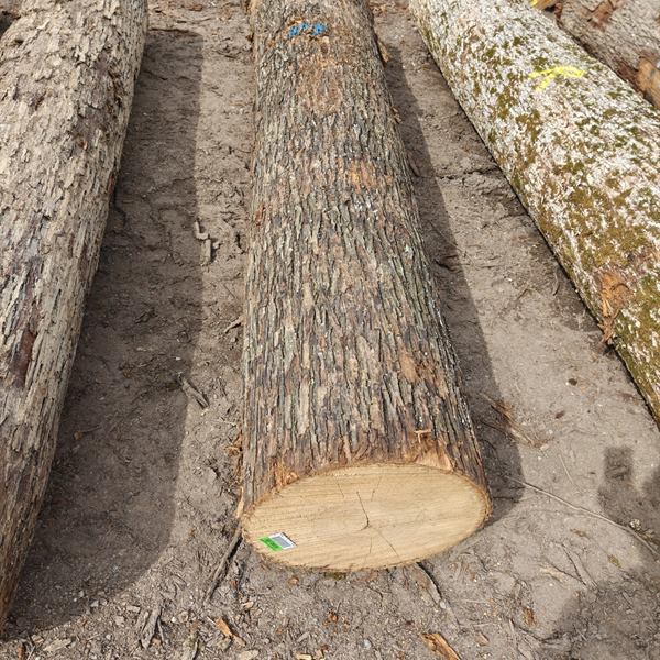 BMJ Forest Products log inventory 11